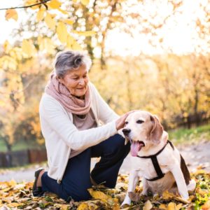 Do Dogs Make Us Healthier?